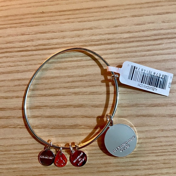 Alex & Ani silver bracelet ⚓️🎀 (RETIRED) - Picture 3 of 4